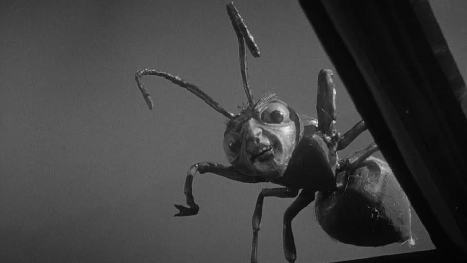 An intergalactic escaped convict sizes up its prey.