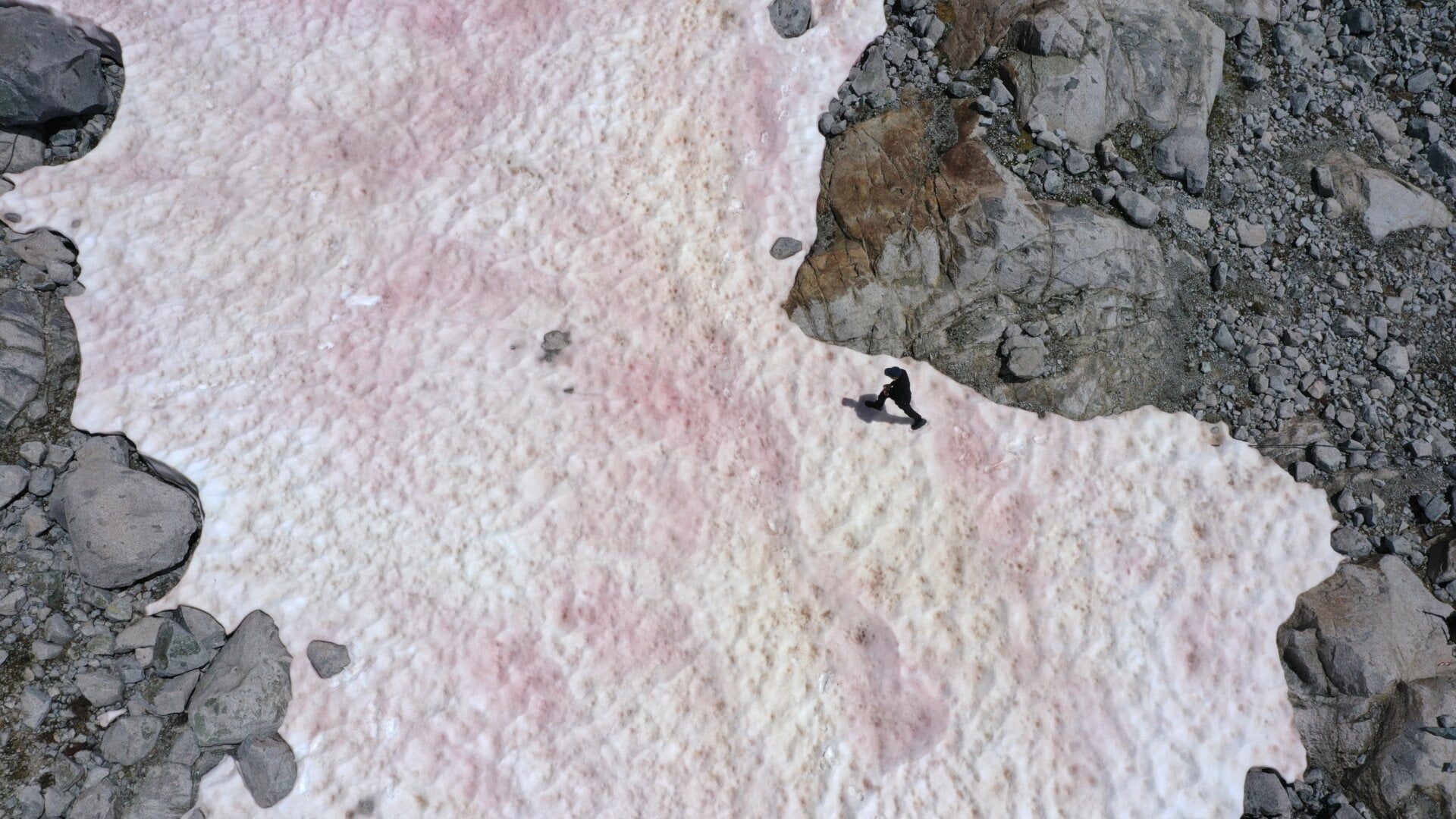 An aerial shot shows someone walking over the pink snow atop the Italian Alps on July 3, 2020.