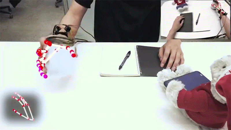 Gif: Cornell University