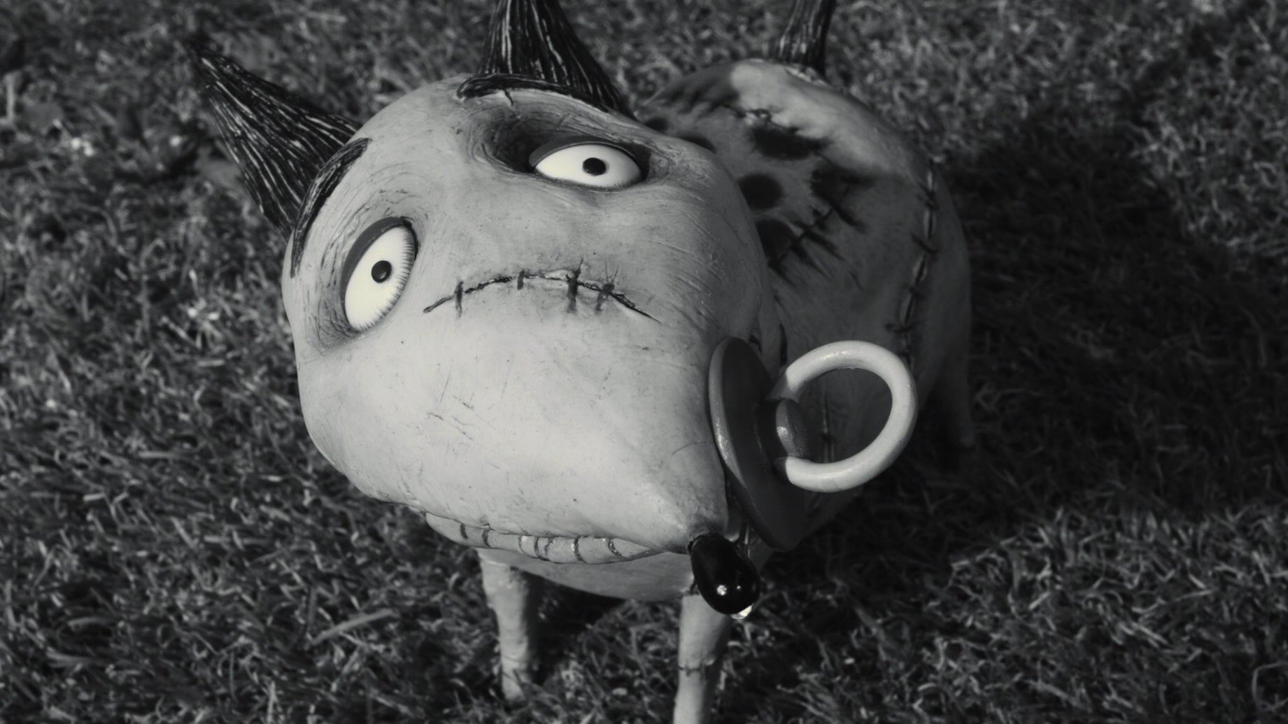 You remind me of the babe.