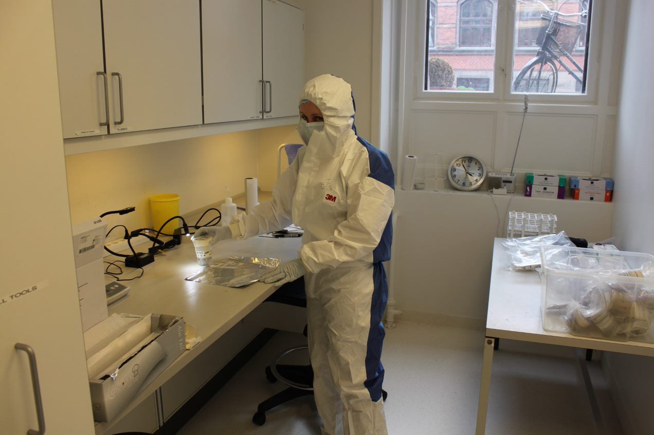 Study co-author Helen Whelton working on samples in the lab.