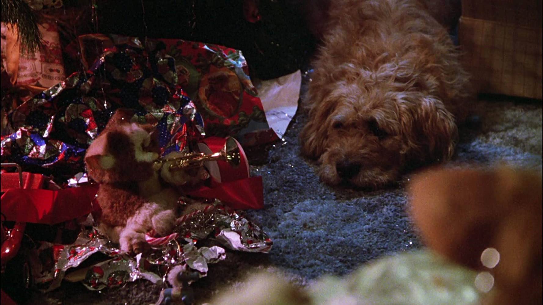 Gizmo and Barney, hangin’ out.