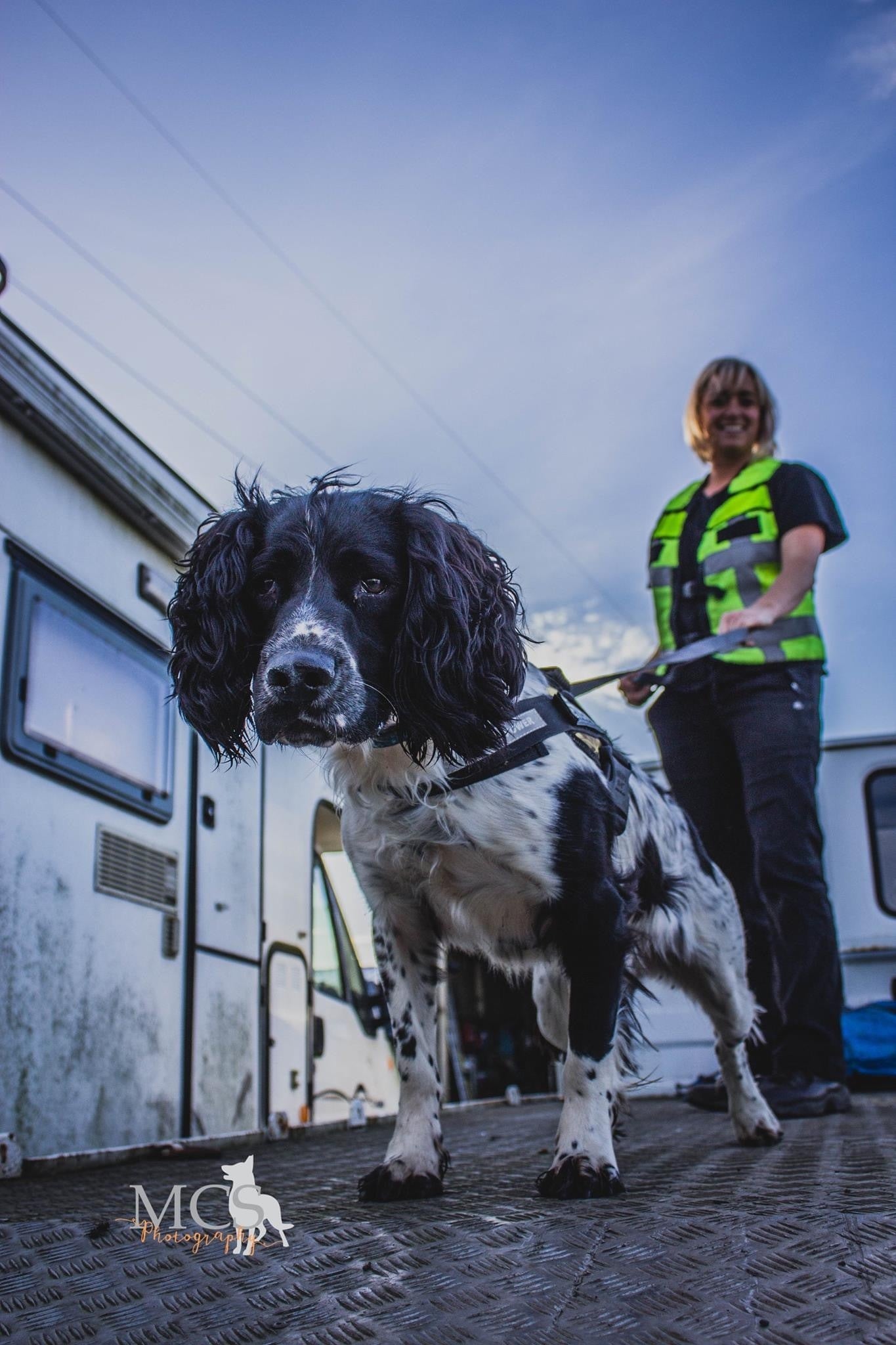Henry, a very good boy, with his owner, Louise Wilson.