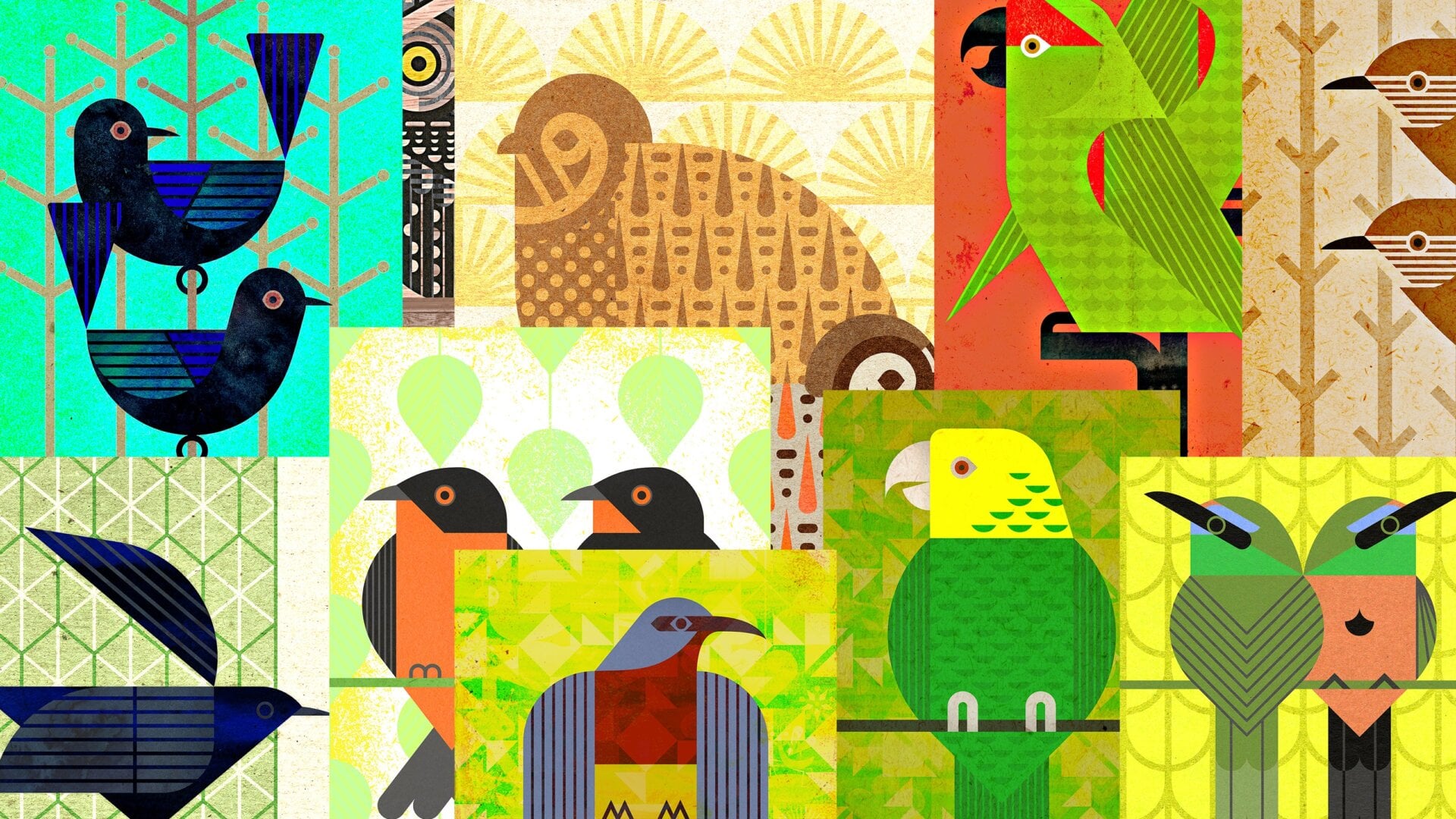 A collage of posters created by Scott Partridge featuring the birds on the album. The posters are available for sale on Bandcamp.