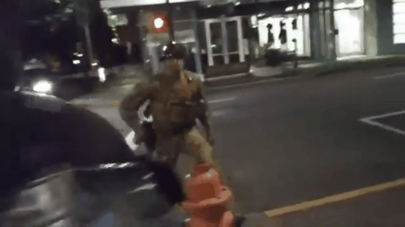 Gif: Matcha Chai/Twitter