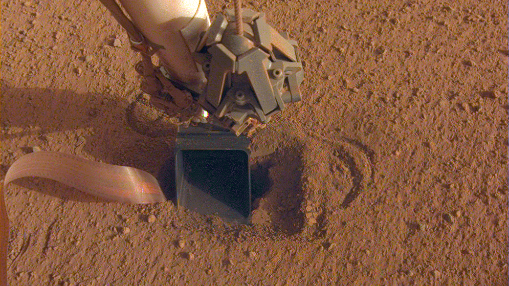 Short GIF showing the movement of pebbles on the scoop, indicating movement from the mole below.