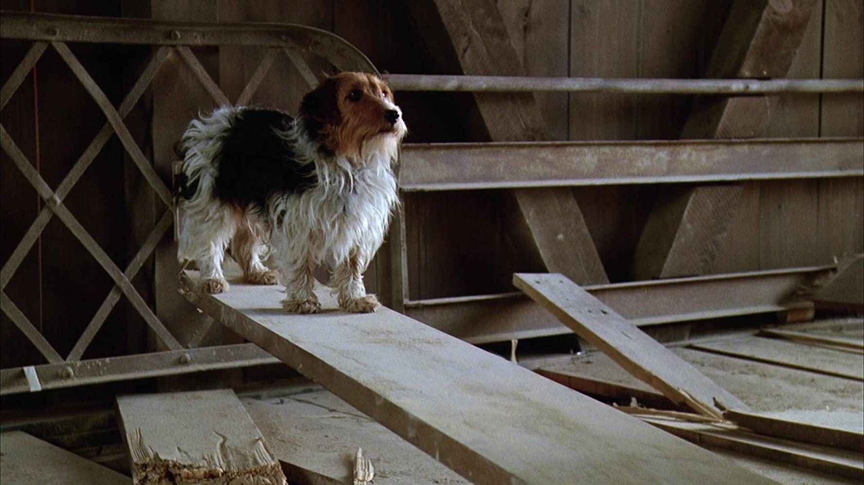 Hello, I am your doom.