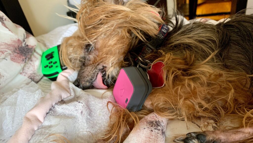 Photo: Victoria Song/Gizmodo