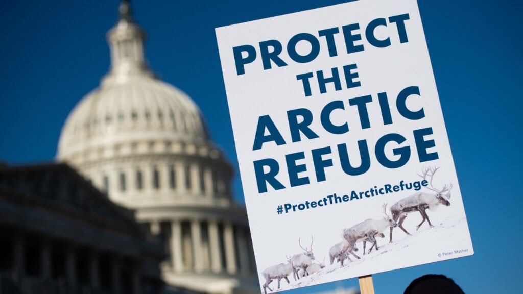 Photo: Saul Loeb/AFP