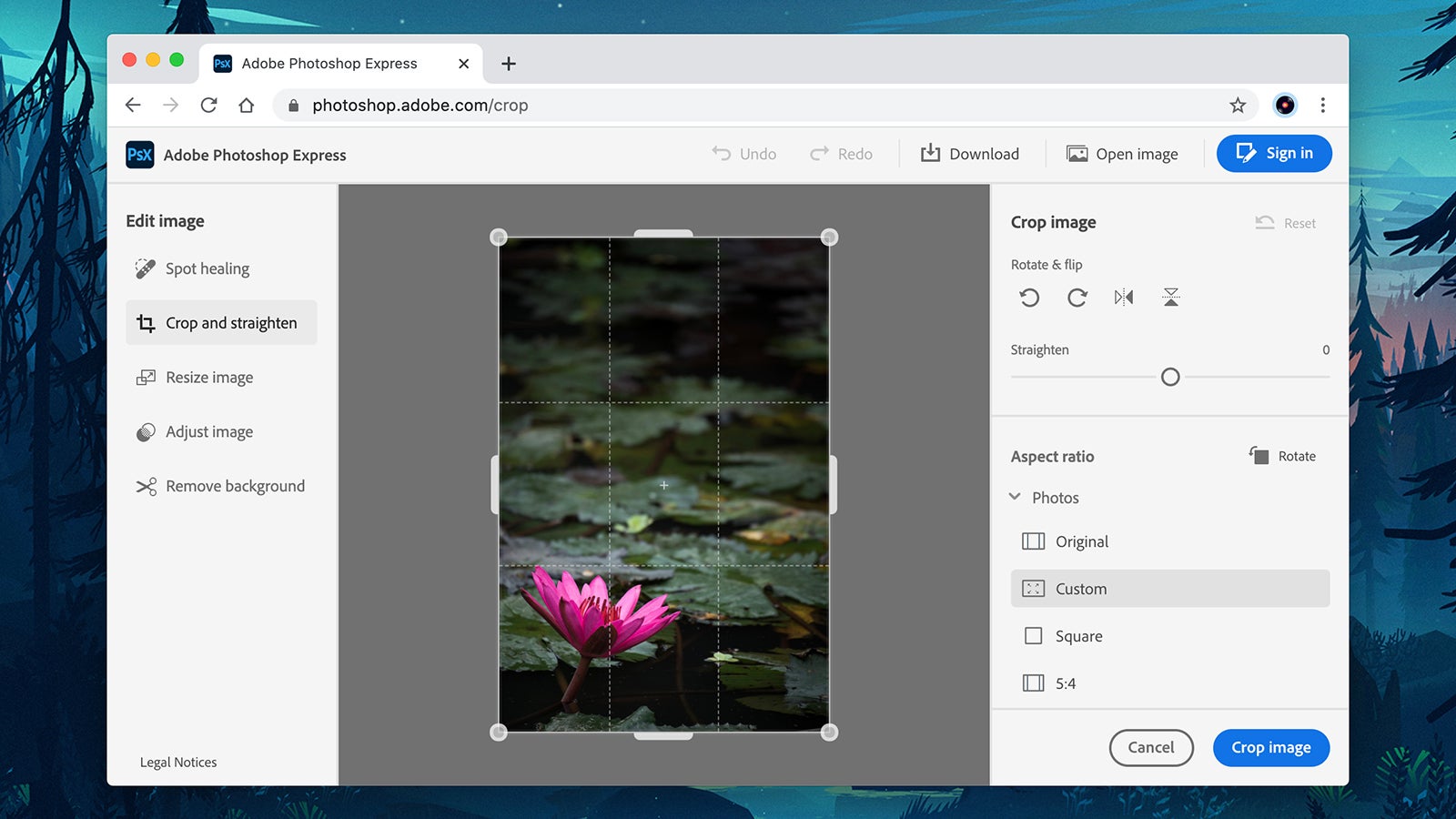 Screenshot: Adobe Photoshop Express