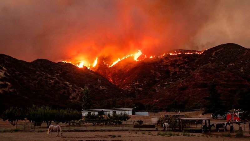 Photo: Josh Edelson/AFP