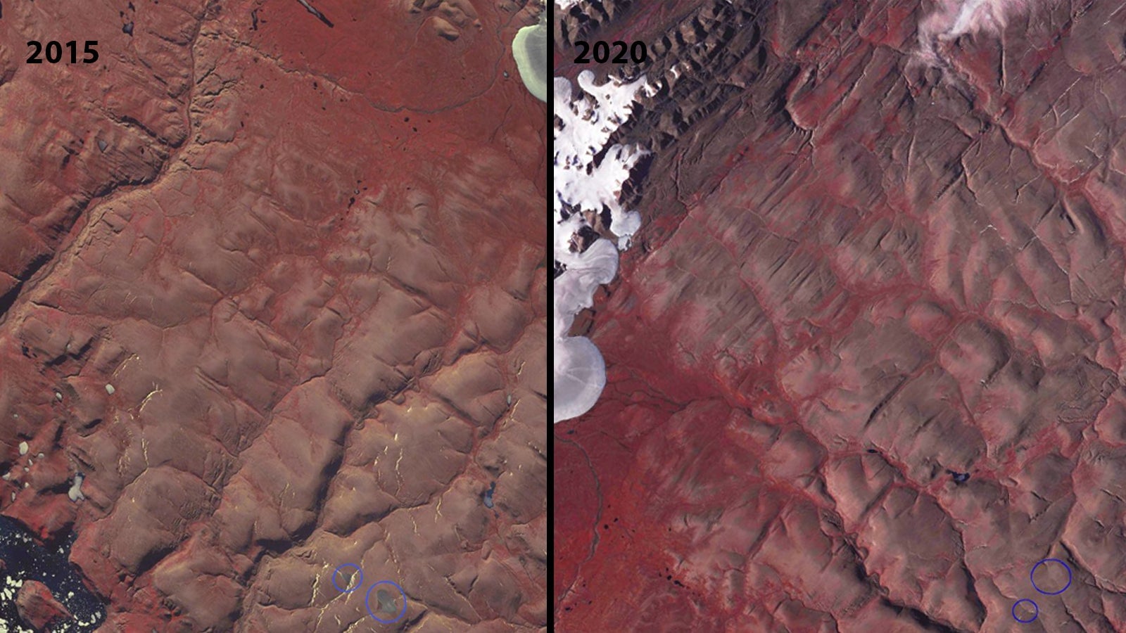 On the left, you can see what were the St. Patrick Bay ice caps in August 2015. On the right, you can see they’re gone as of July 2020.
