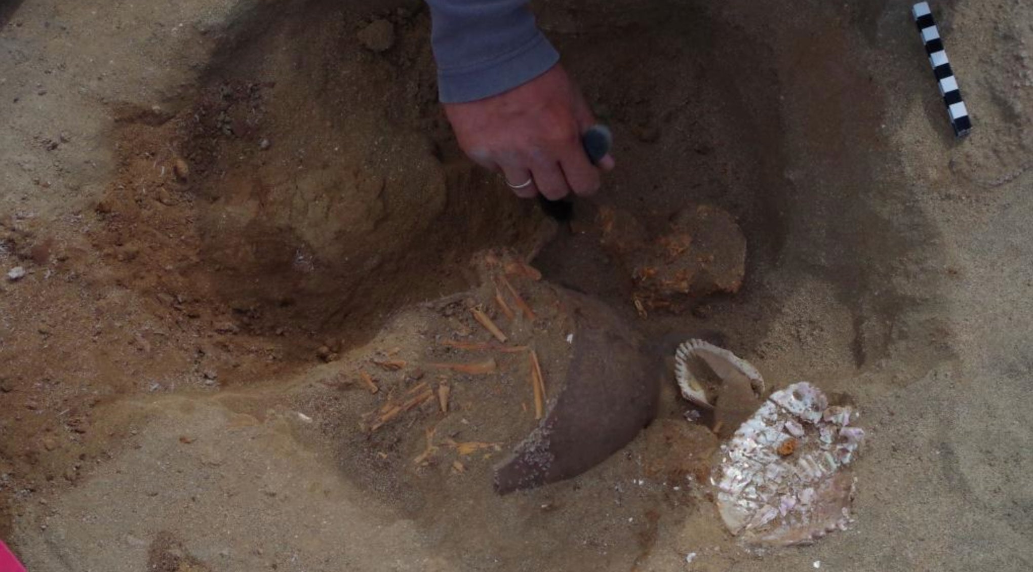 Some monkeys were found buried next to sea shells and broken pottery.