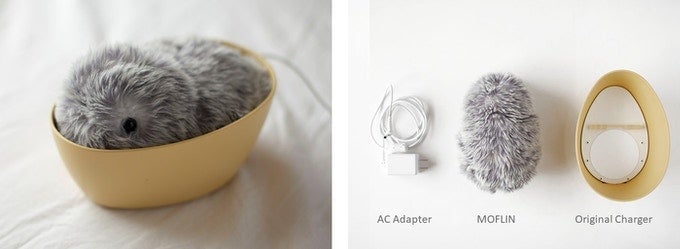 Photo: Vanguard Industries