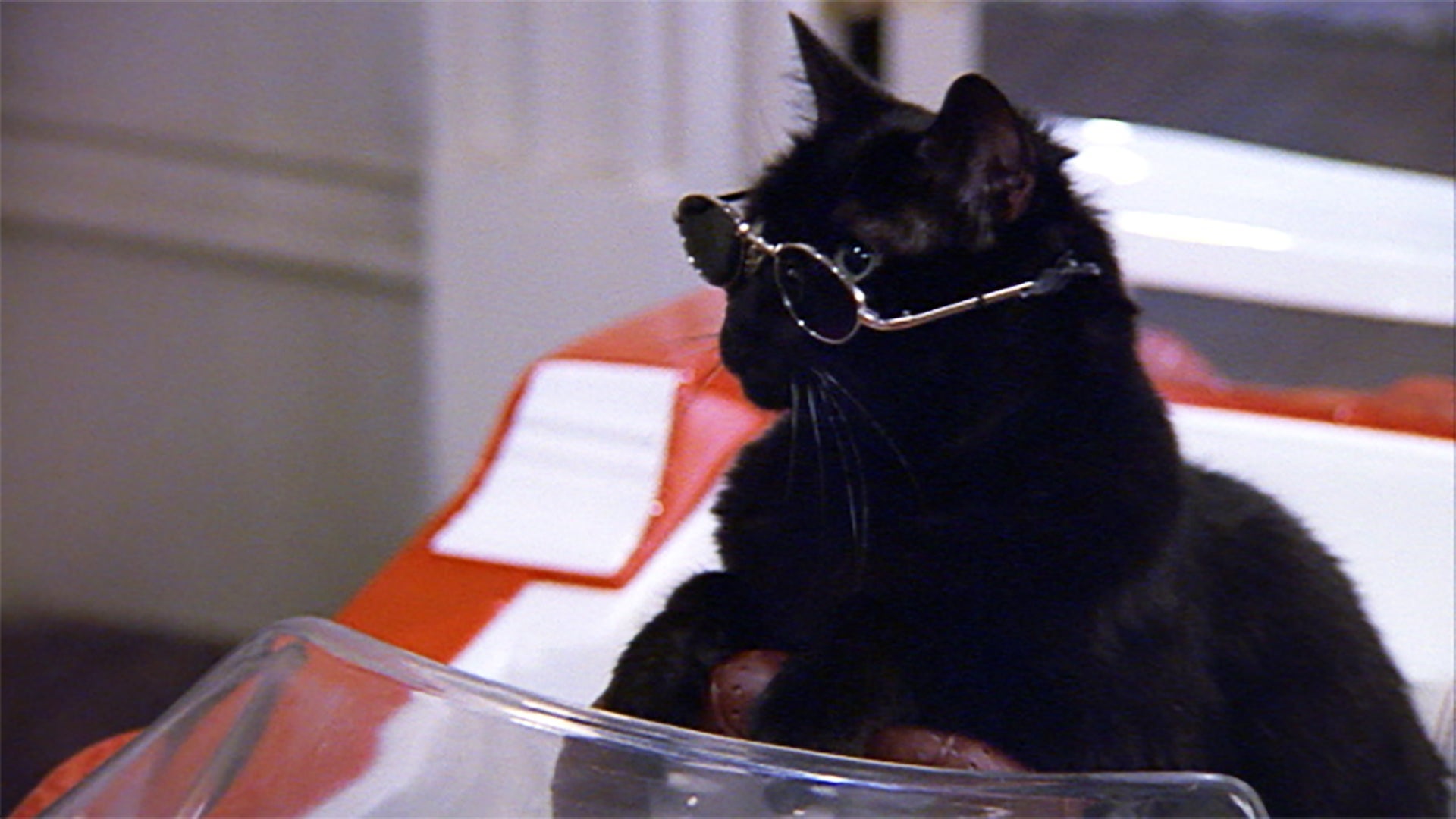 Too cool for school.