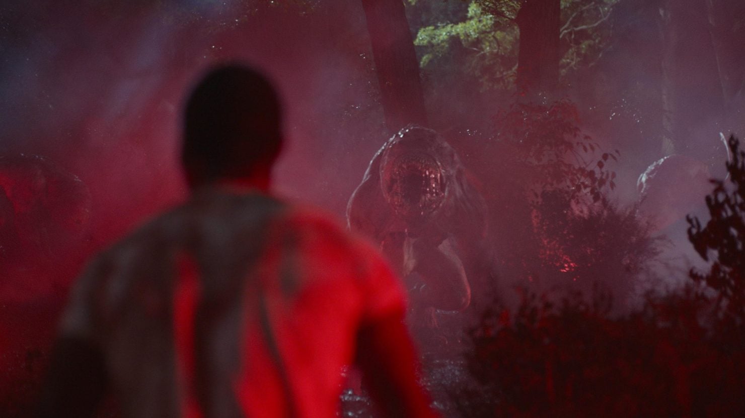 Wouldn’t want that thing chasing me.