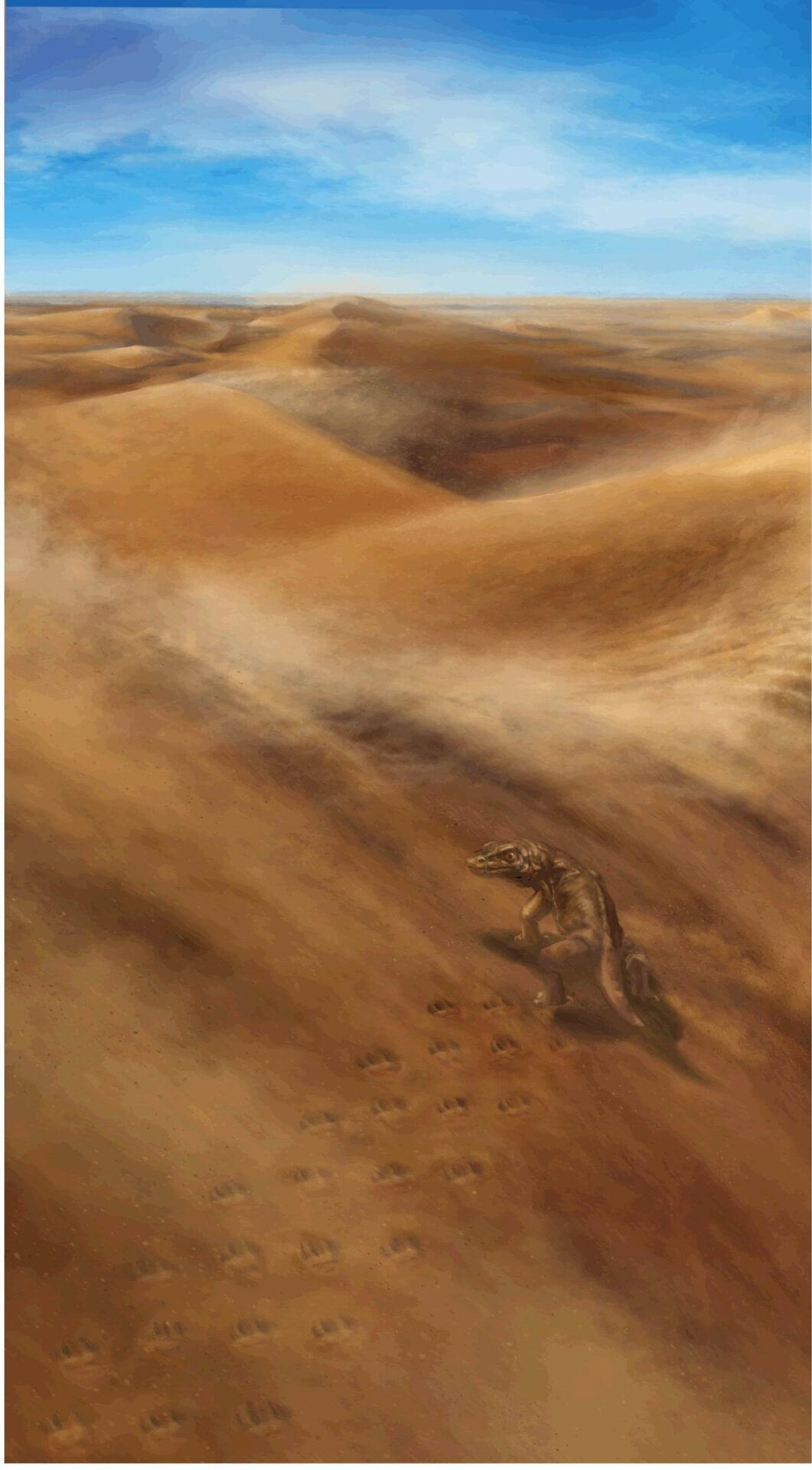 Artist’s depiction of the early amniote moving diagonally up a sand dune, creating the first of two trackways seen on the boulder. 