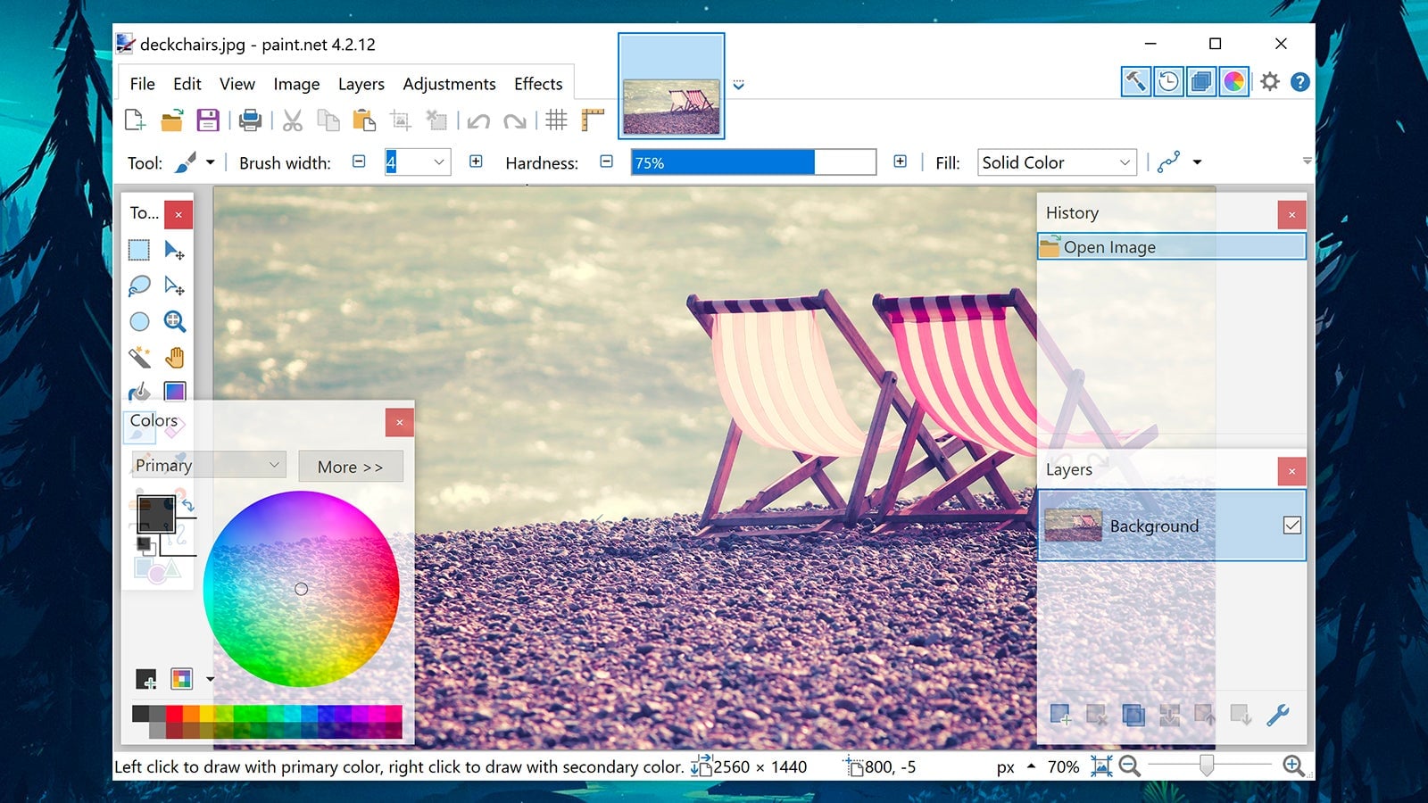 Screenshot: Paint.NET