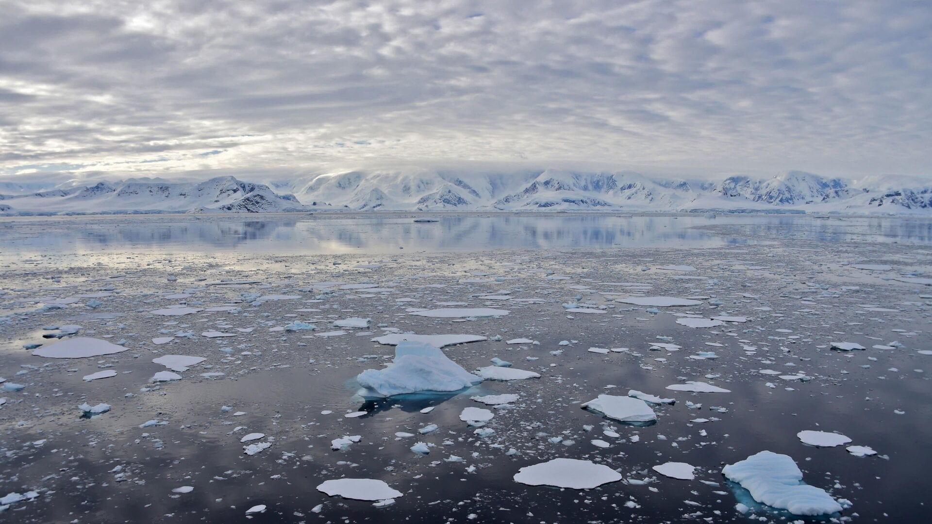 View of a glacier at Chiriguano Bay in South Shetland Islands, Antarctica on November 07, 2019.