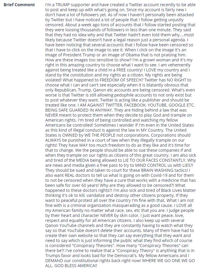 Screenshot: FCC/Electronic Comment Filing System