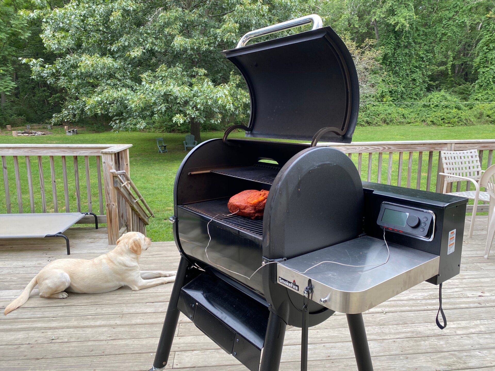 Pippi standing guard.