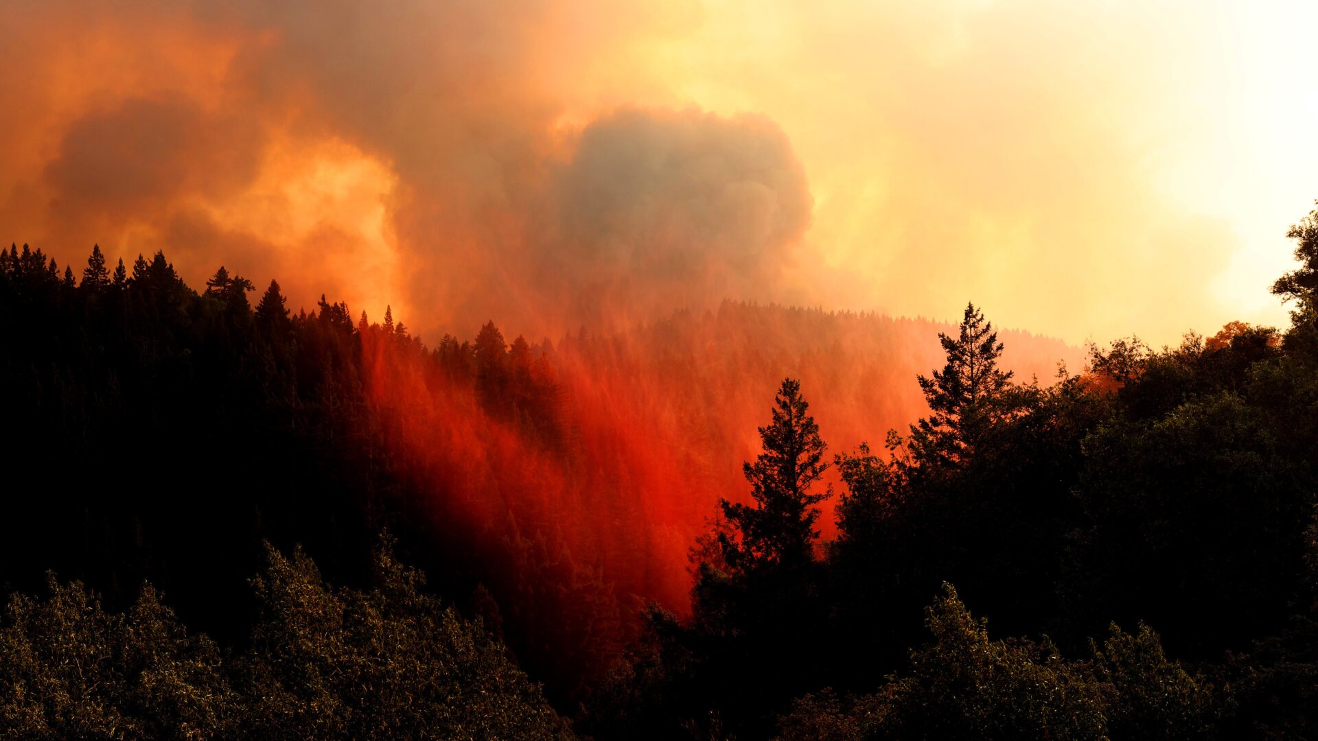 The LNU Lightning Complex Fire on August 20, 2020 in Healdsburg, California.
