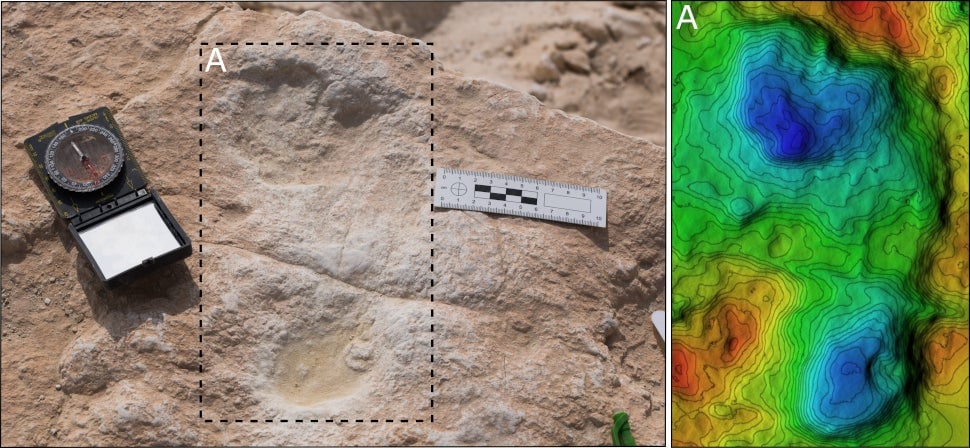 The first human footprint discovered at the site and its corresponding digital elevation model (DEM).