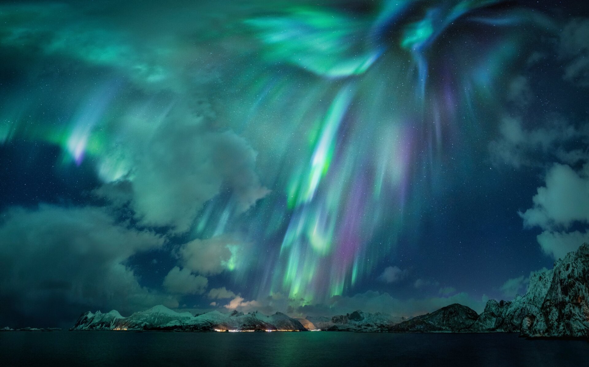 Winning image for the Aurorae category. 