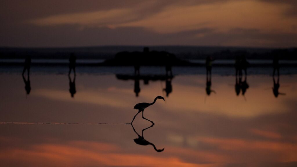 Photo: Jorge Guerrero/AFP