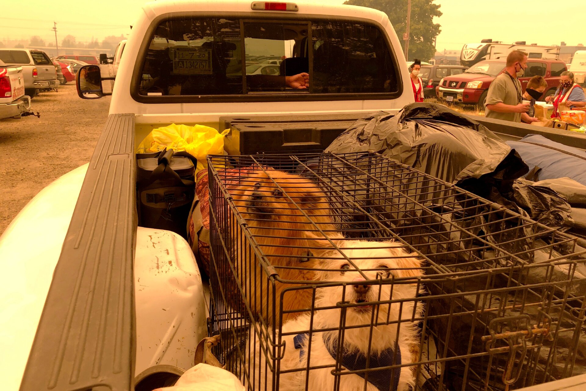 A family arrives with their two dogs and other precious belongings at an evacuation center that has been set up at the Oregon State Fairgrounds in Salem, Oregon, on Tuesday, Sept. 8, 2020.