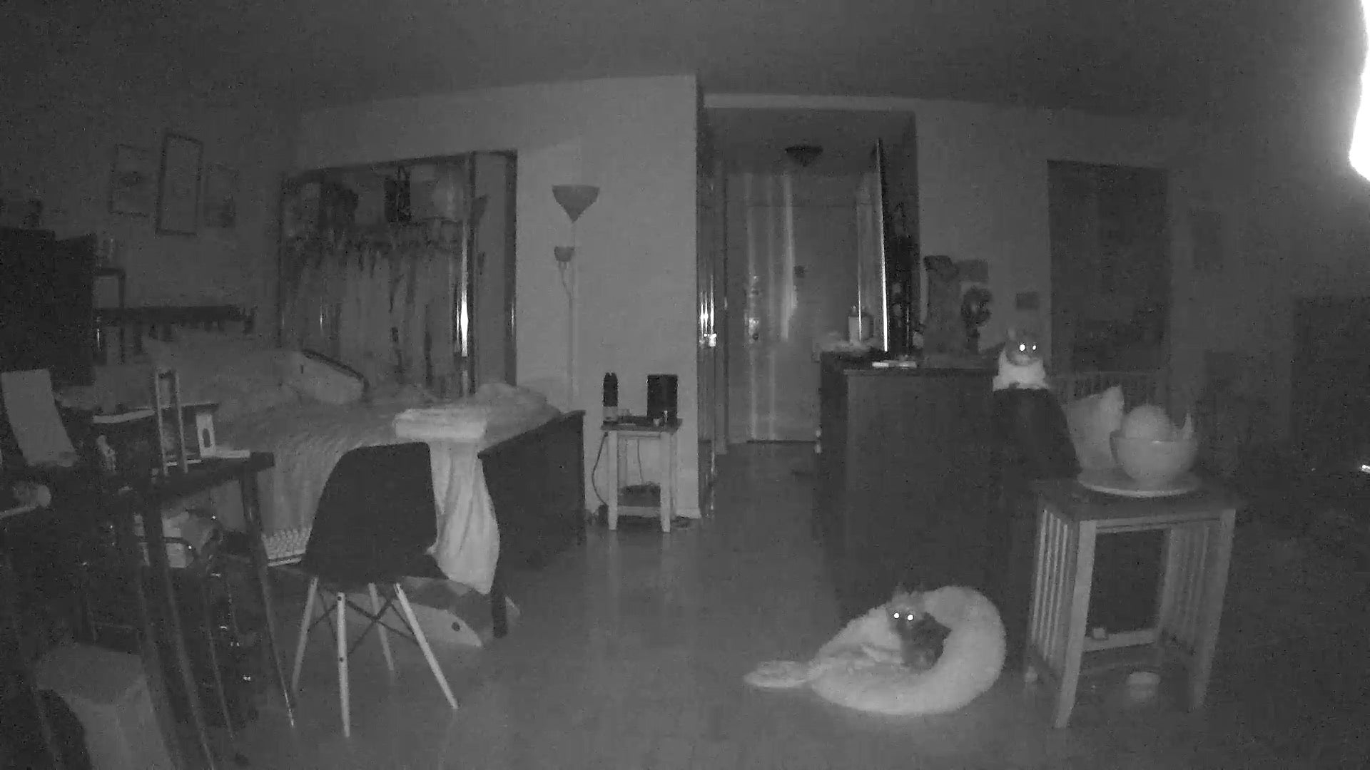 DEMON EYES. This is the picture quality you get in Night Vision. 