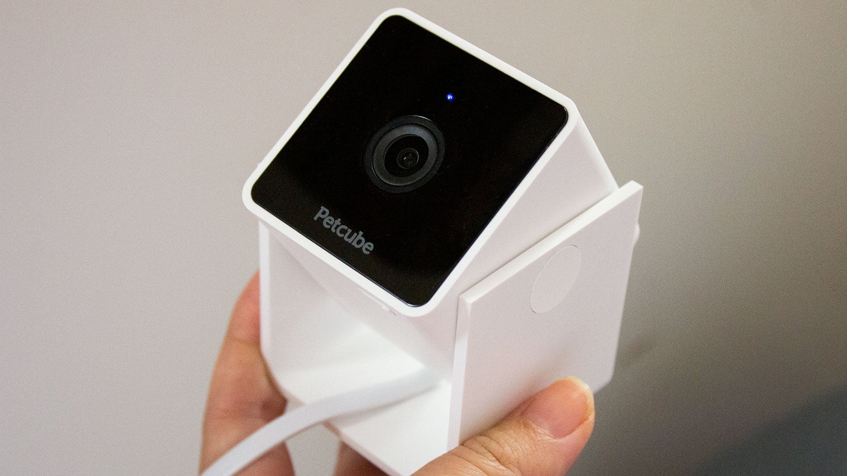 Photo: Victoria Song/Gizmodo