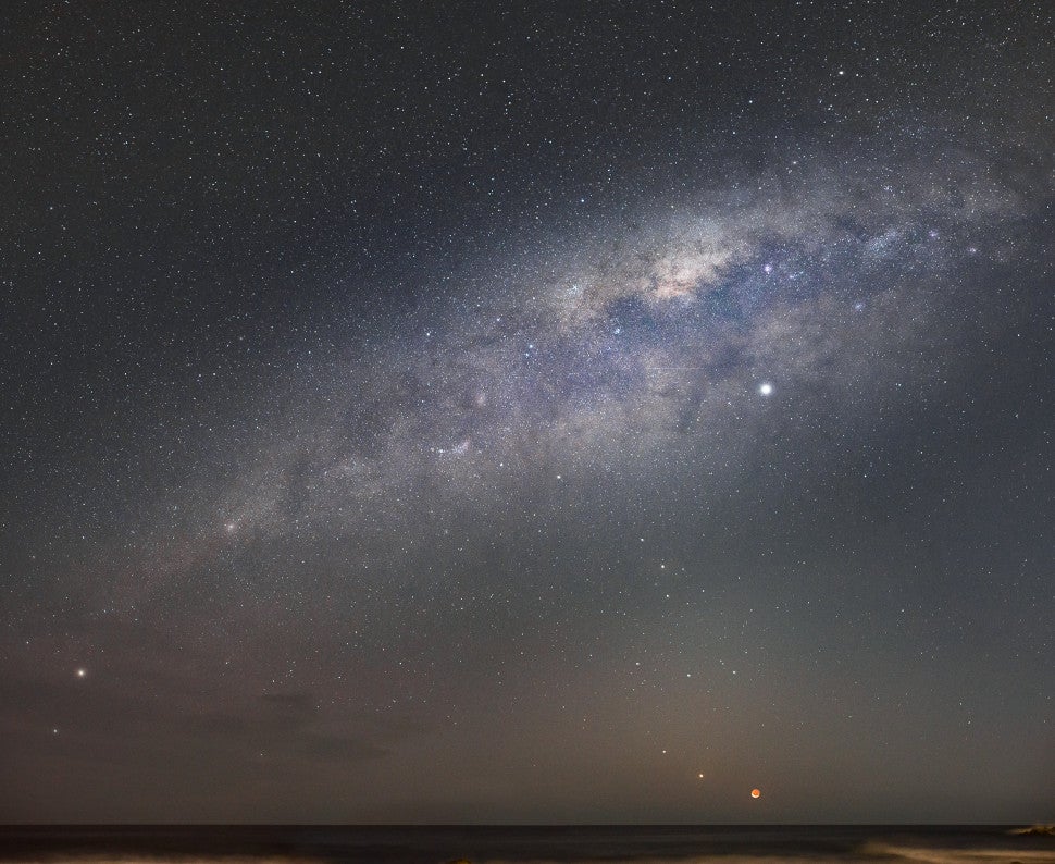 Winner of the Young Competition category.