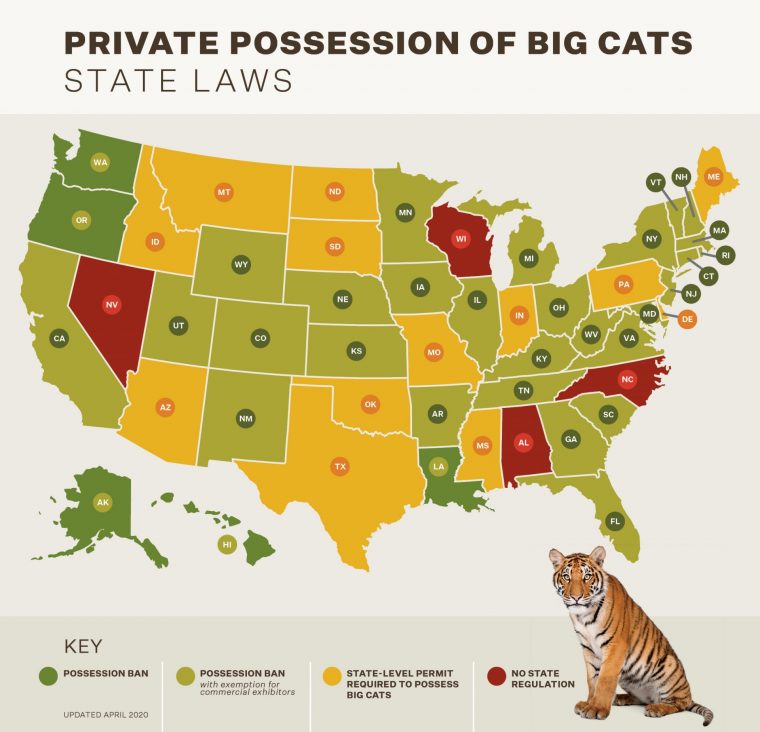 Graphic: Animal Legal Defense Fund