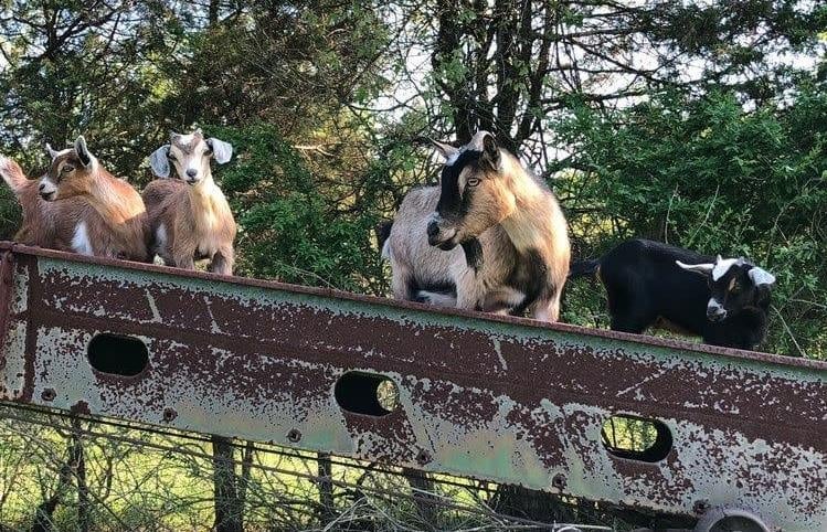 The maintenance crew is here.