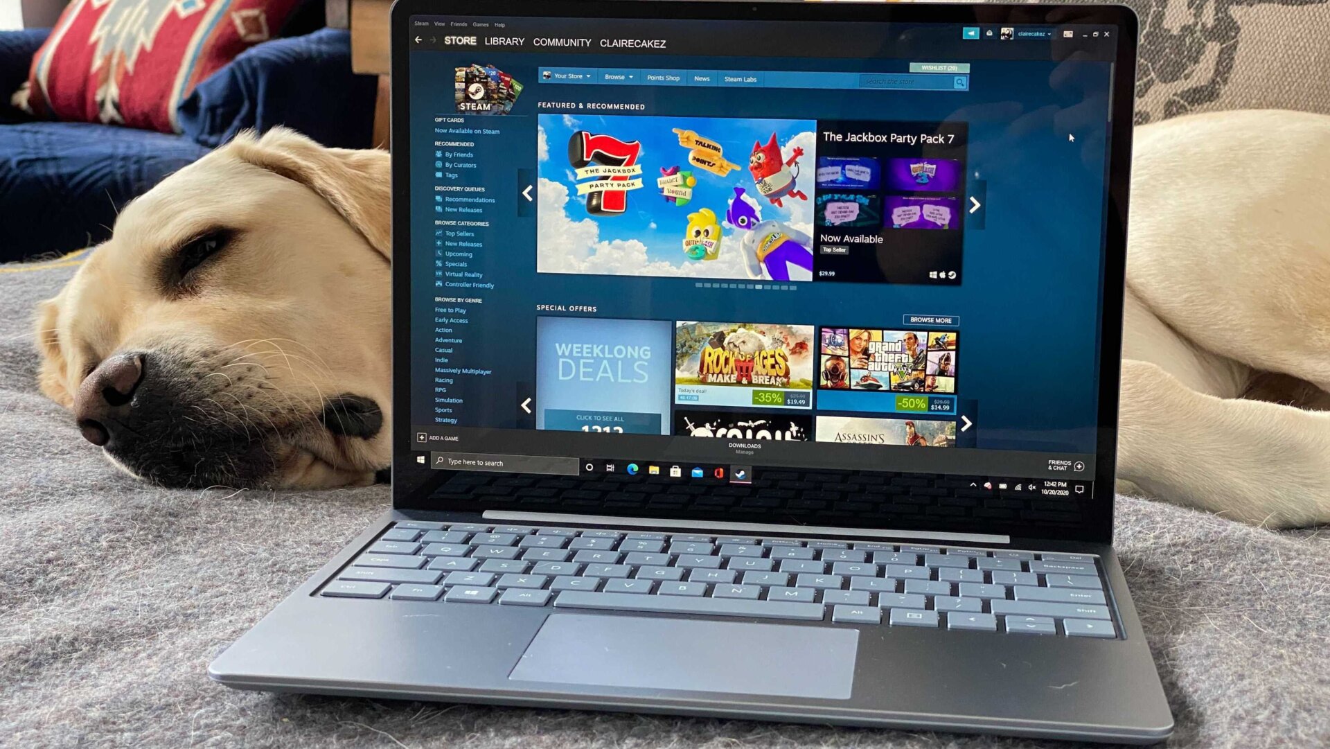 This very good boy loves to Steam.