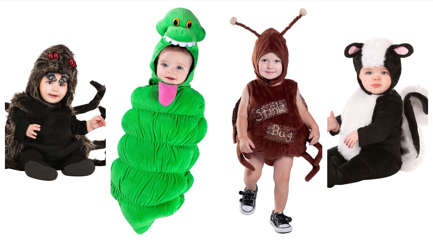 From left: Infant Talan the Tarantula, Infant Slimer Bunting, Infant Stink Bug, Infant Skunk.
