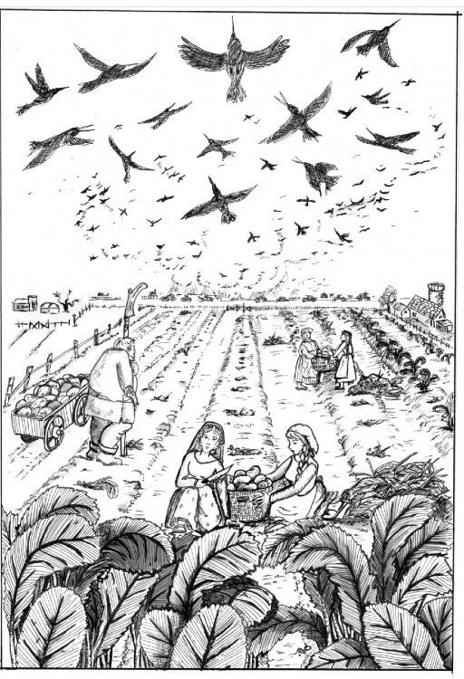 Image: Yvonne Phillips/Aethon Books