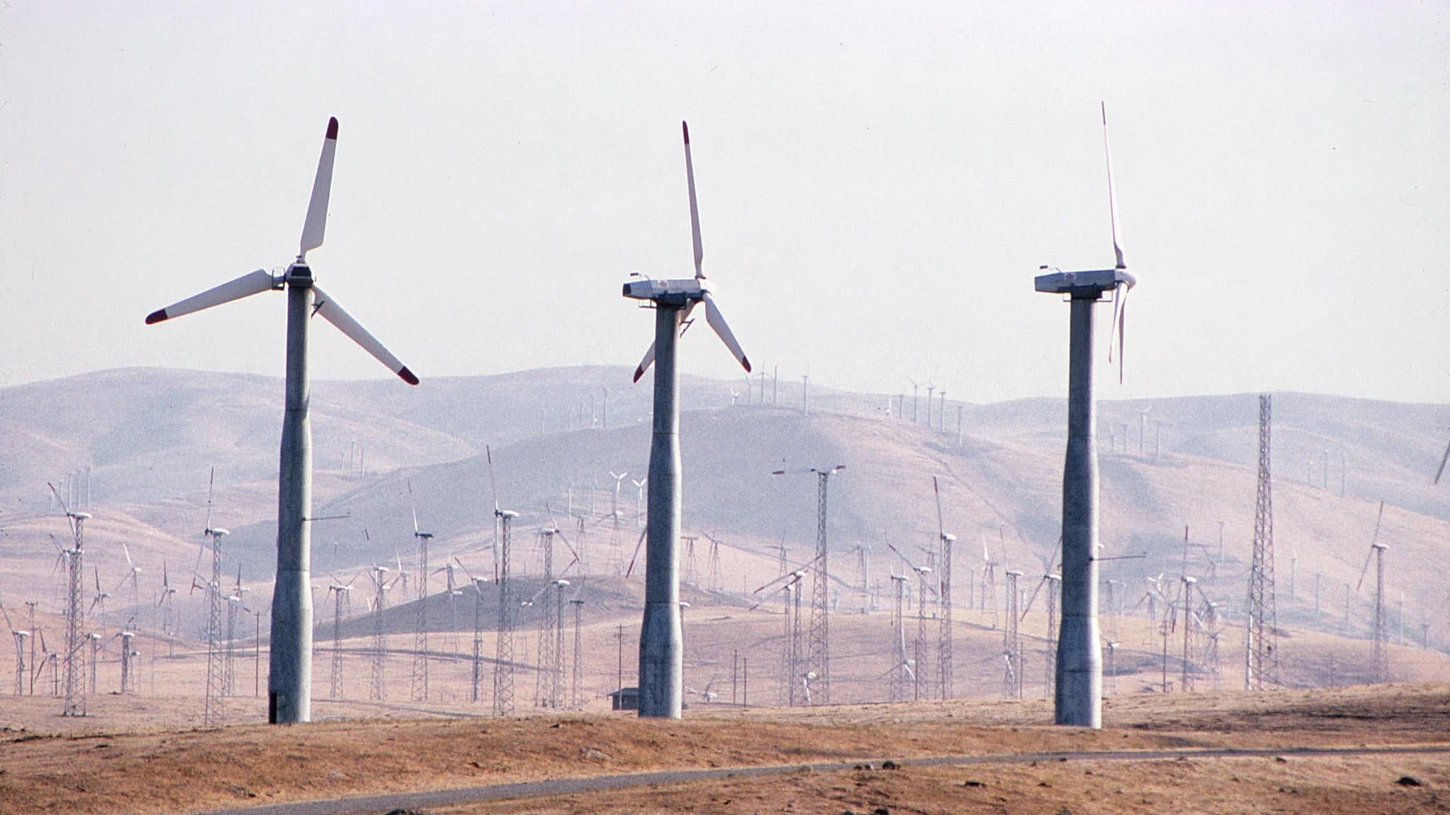 A 1989 photo of Altamont Pass’ wind farms.