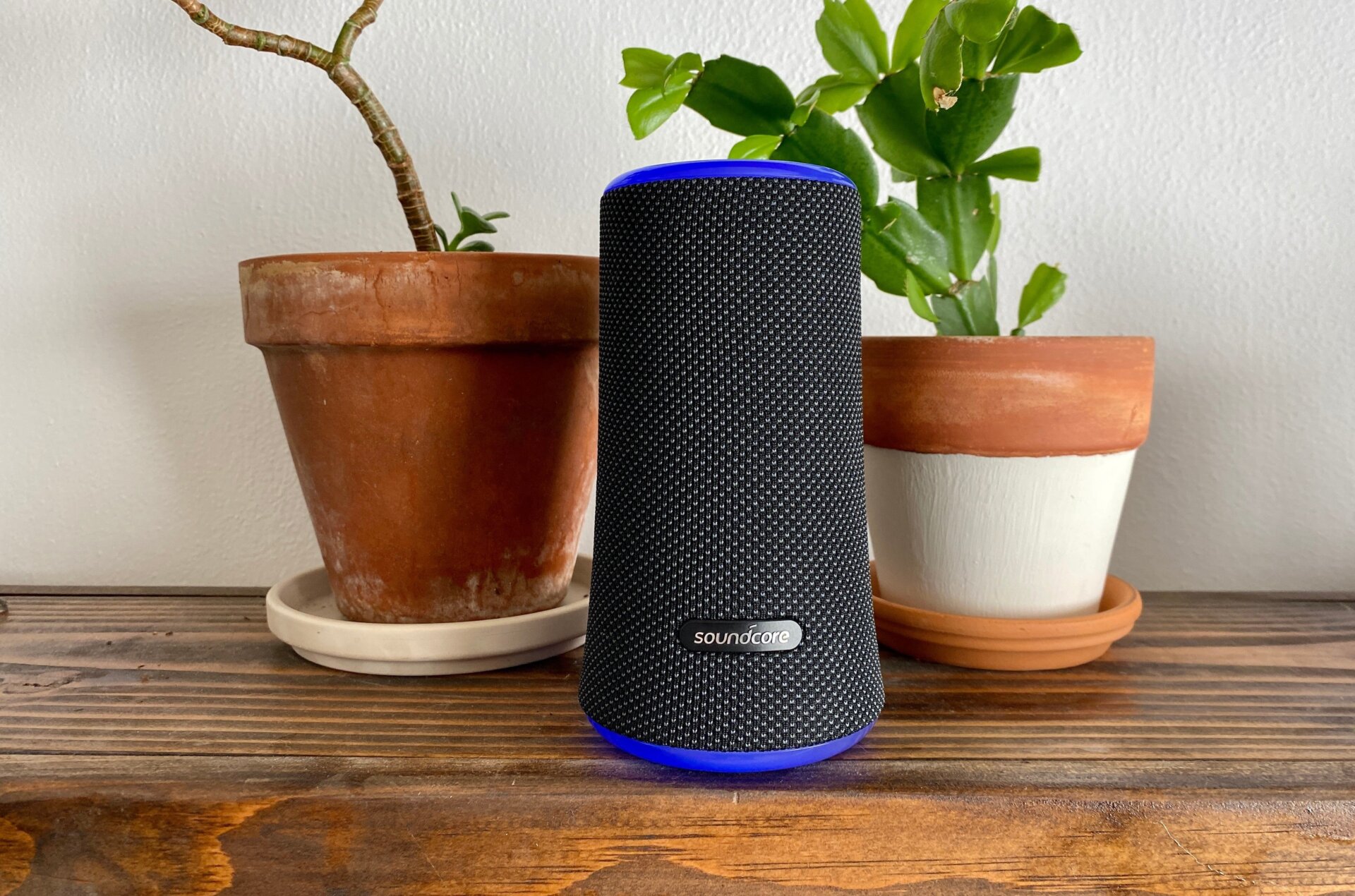 Photo: Catie Keck/Gizmodo