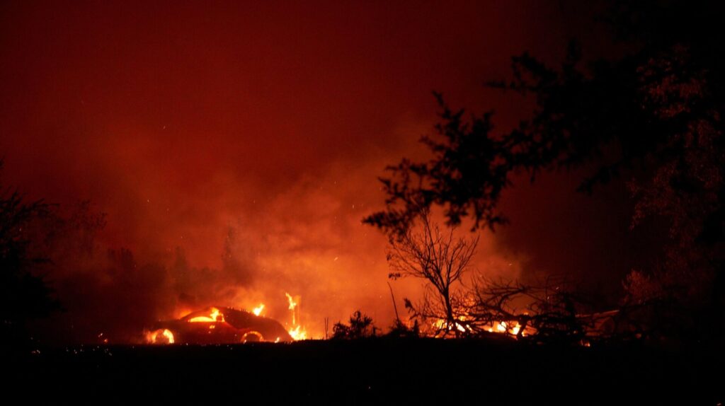 Photo: Allison Dinner