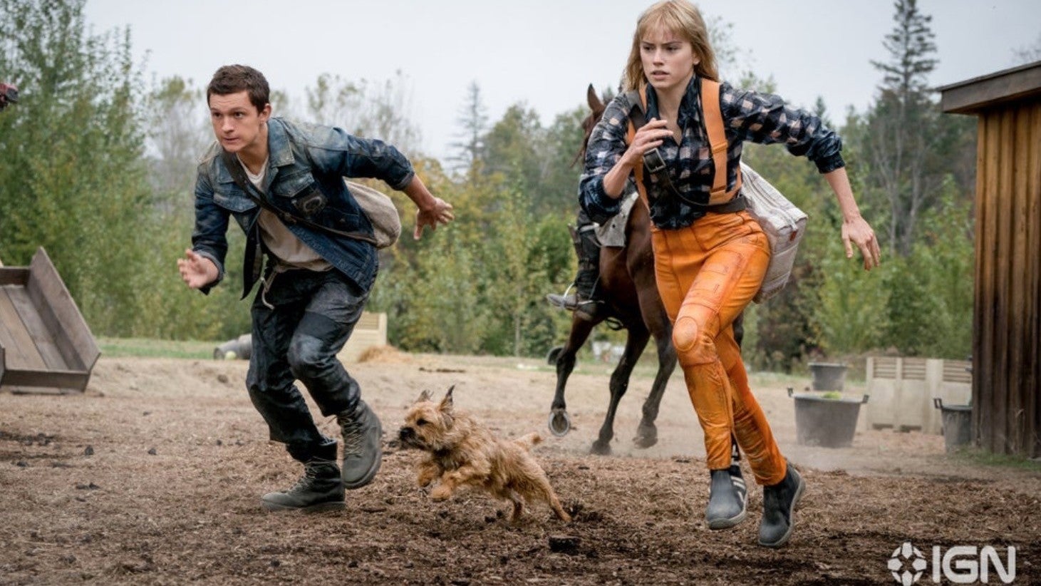 Tom Holland, Daisy Ridley, and an adorable pooch are running in Chaos Walking.