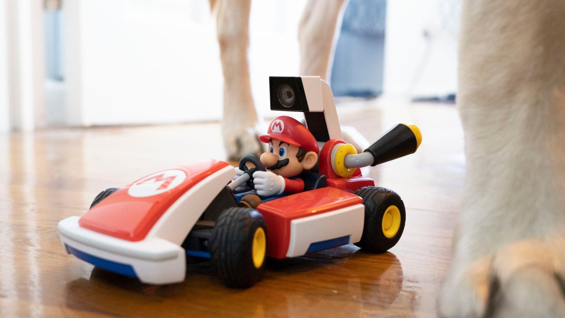 Photo: Alex Cranz/Gizmodo