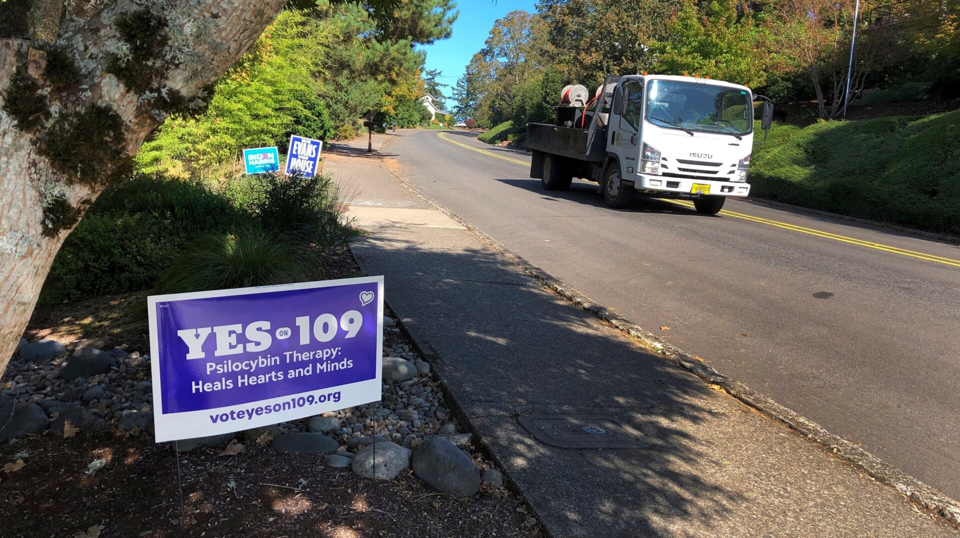 A truck drives past a sign supporting a ballot measure in Oregon to legalize the controlled, therapeutic use of psilocybin mushrooms.