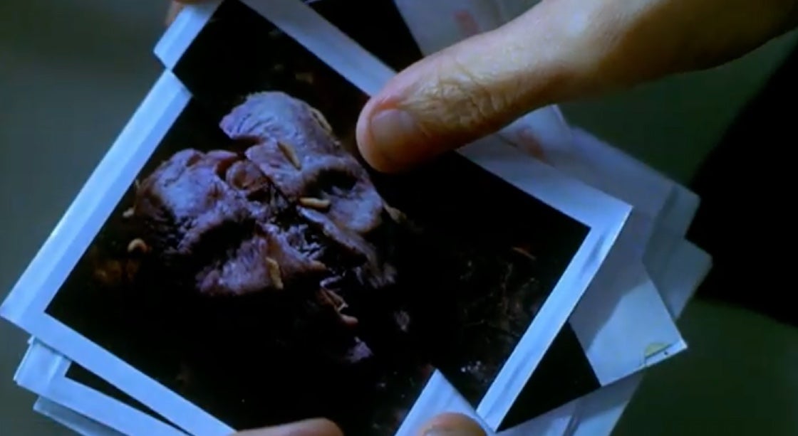 Maggots, roaches, uncomfortably large bugs, oh my!