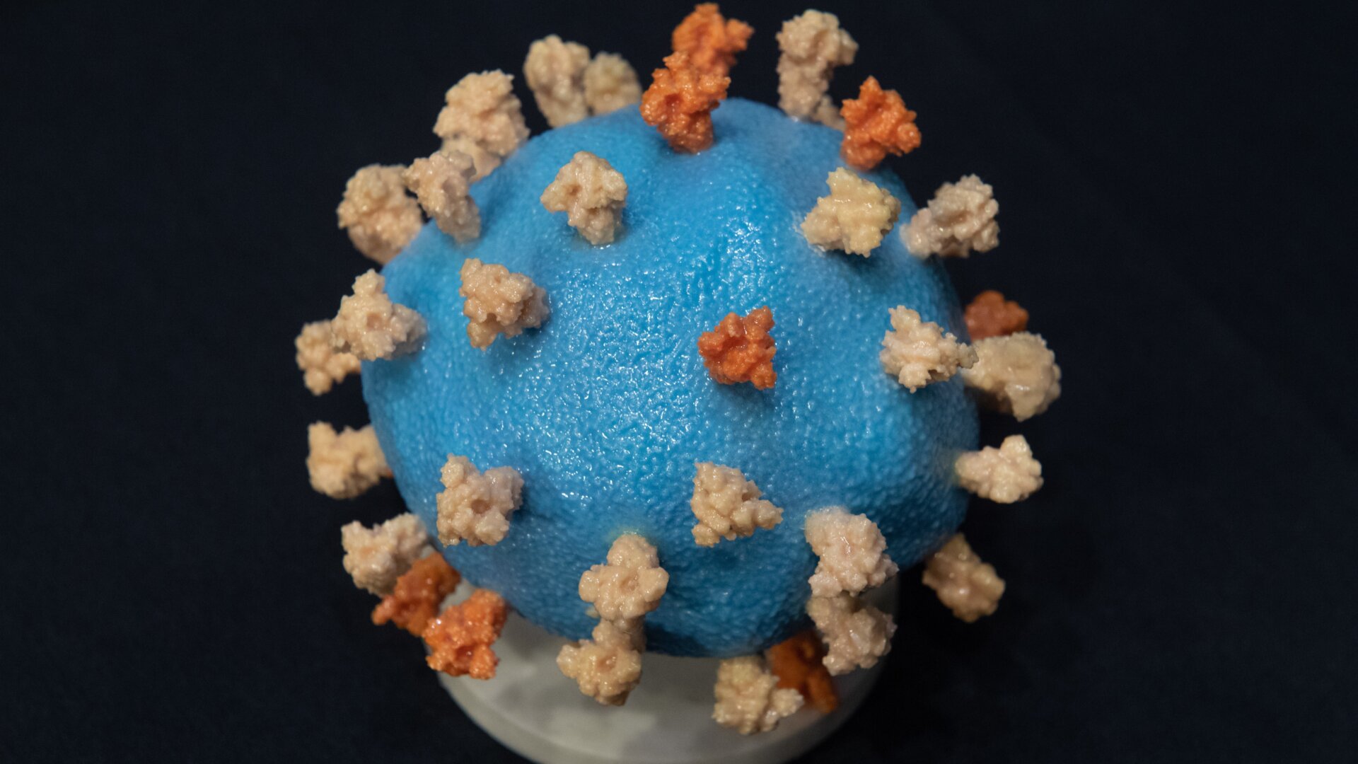 A model of SARS-COV-2, the coronavirus that causes covid-19