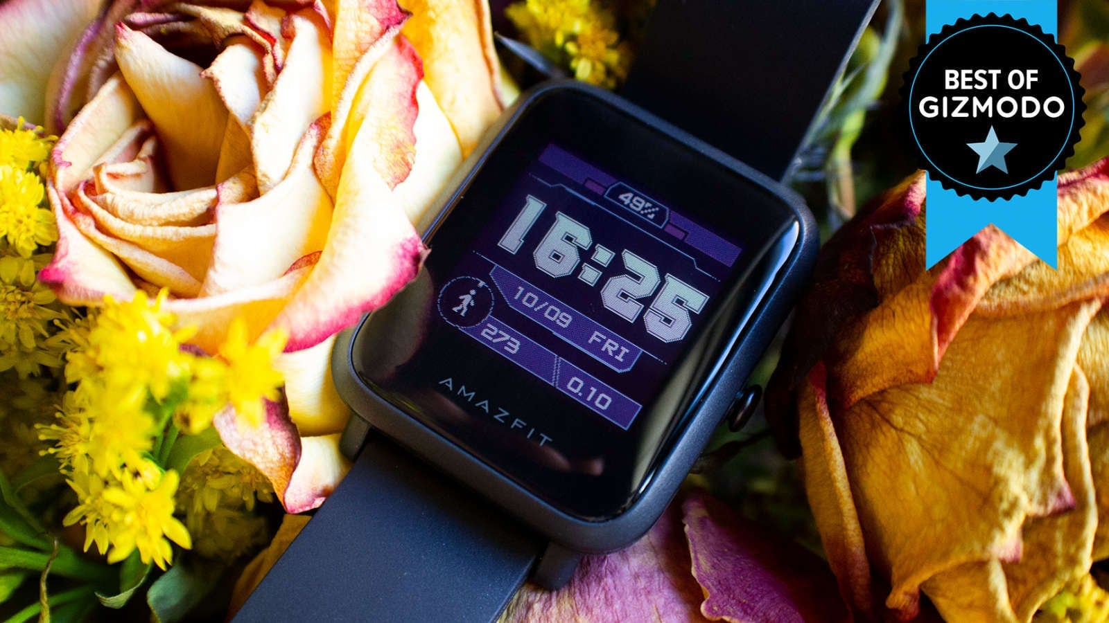 Photo: Victoria Song/Gizmodo