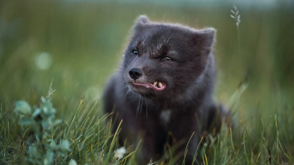 Photo: @photoetb/Agora