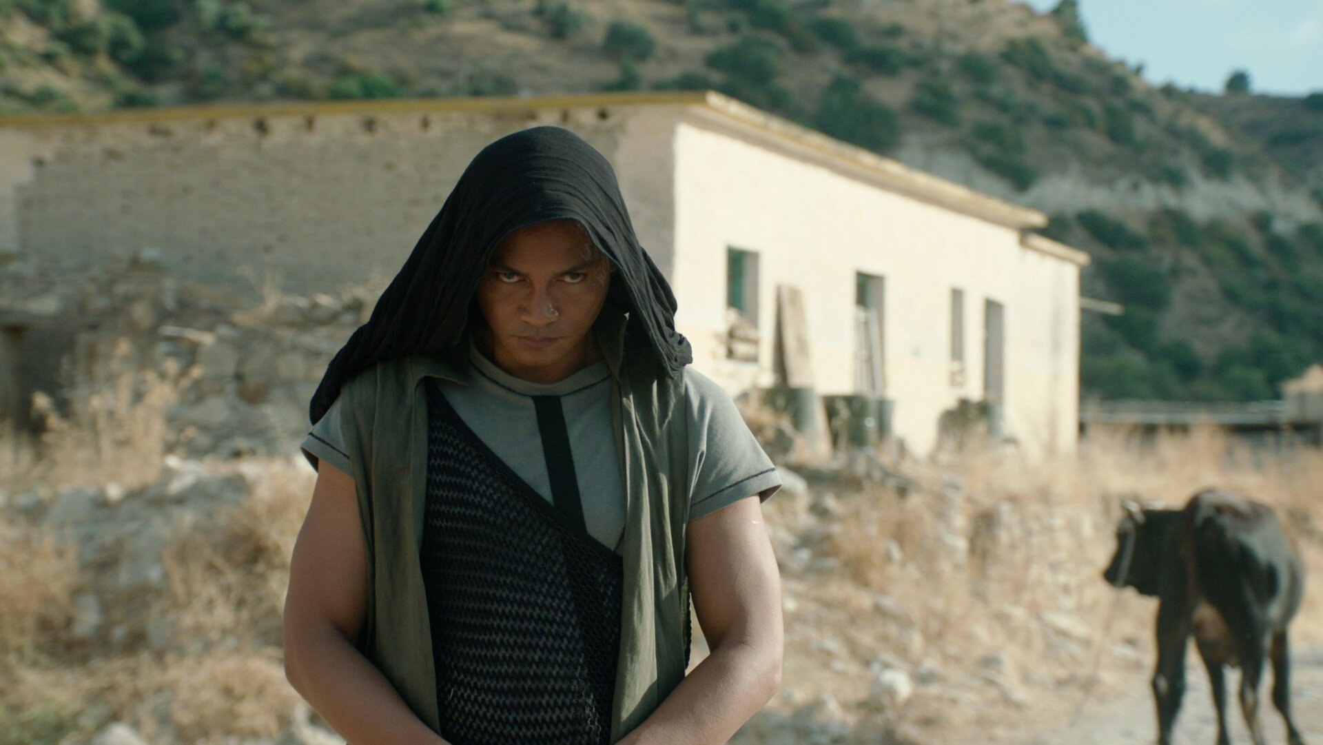 Tony Jaa arrives to mess shit up.