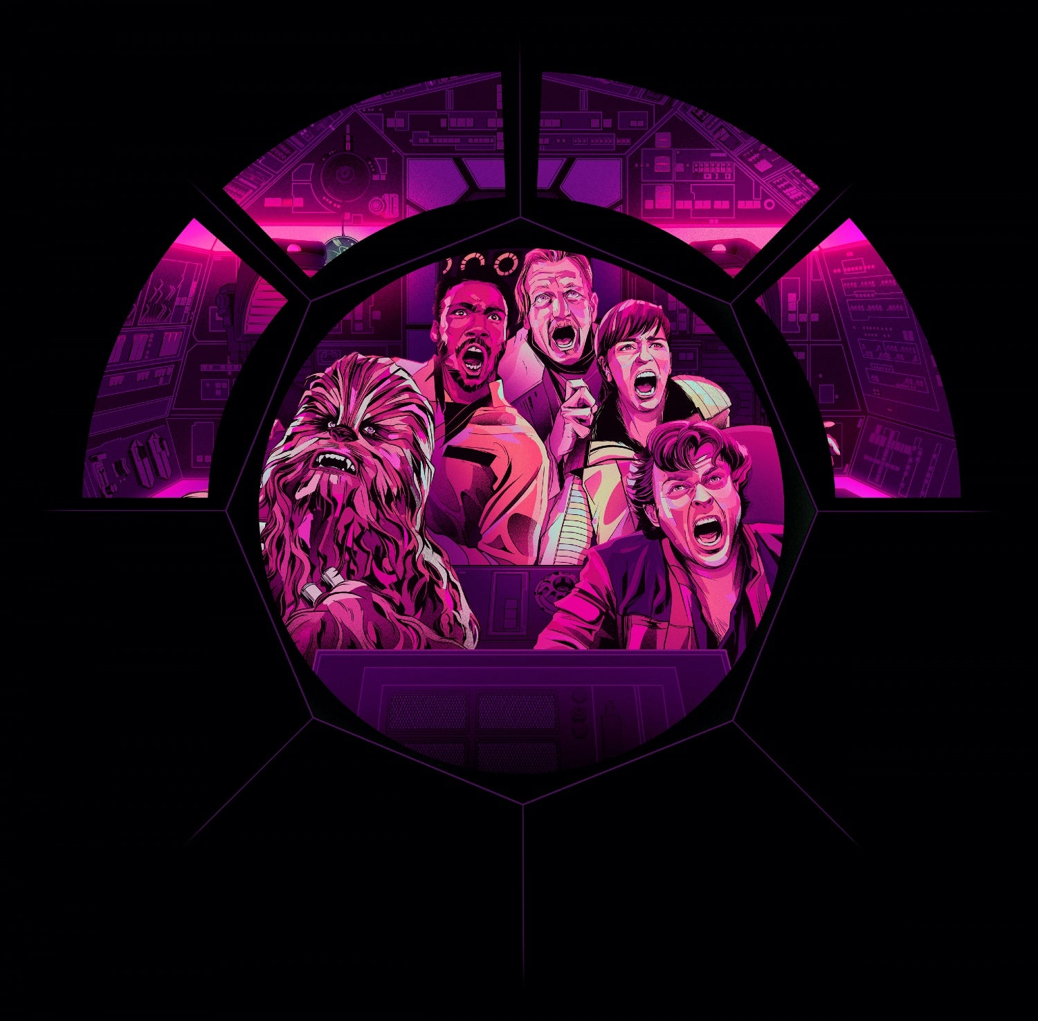 The vinyl cover in the slipcase.